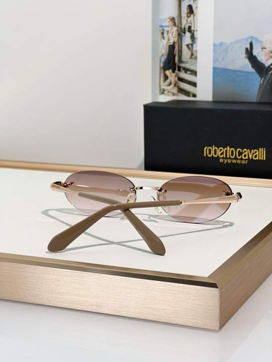 Picture of Roberto Cavalli Sunglasses _SKUfw79279465fw